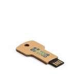 Clé USB type éco pour offrir avec zone d'impression