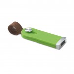 Clé USB haut de gamme pour professionnels verte