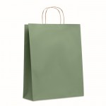 Grand sac papier cadeau coloré couleur vert