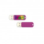 Clé USB pas cher avec impression numérique couleur violet