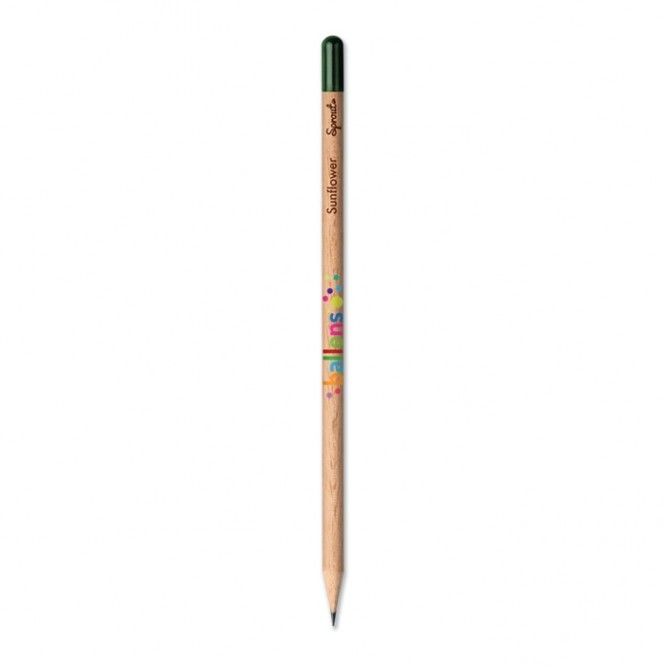 crayon personnalisé avec graines