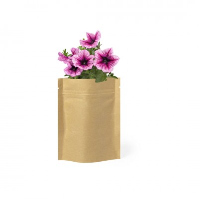 Pot de fleurs original avec graines couleur marron