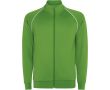 Sweat-shirt de sport unisexe à col montant 210 g/m² Roly Direct Valier couleur vert