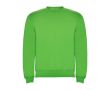 Pull en coton et polyester 280 g/m² Roly Direct Clasica  couleur vert clair