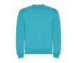 Pull en coton et polyester 280 g/m² Roly Direct Clasica  couleur turquoise