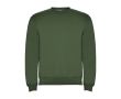 Pull en coton et polyester 280 g/m² Roly Direct Clasica  couleur vert foncé