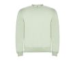 Pull en coton et polyester 280 g/m² Roly Direct Clasica  couleur vert doux