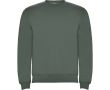 Pull en coton et polyester 280 g/m² Roly Direct Clasica couleur vert olive