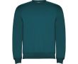 Pull en coton et polyester 280 g/m² Roly Direct Clasica couleur bleu bondi