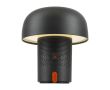 Enceinte en acier et plastique avec lampe LED réglable Kooduu 10 W couleur anthracite