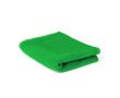 Petite serviette en microfibre pour les mains 45x30 cm 345 g/m² couleur vert