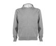 Sweat-shirt avec capuche 280 g/m² Roly Direct Montblanc  couleur gris clair