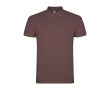 Polo pour homme en coton piqué 200 g/m² Roly Direct Star couleur rouge désaturé