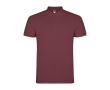Polo pour homme en coton piqué 200 g/m² Roly Direct Star couleur acajou