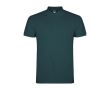 Polo pour homme en coton piqué 200 g/m² Roly Direct Star couleur bleu gris