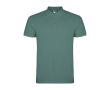 Polo pour homme en coton piqué 200 g/m² Roly Direct Star couleur vert clair