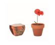Pot avec graine de coquelicot couleur marron
