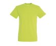 T-shirt basique personnalisable pour cadeaux couleur vert clair