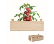Mini-jardin de tomates avec logo couleur bois