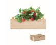 Kit de culture publicitaire de fraises couleur bois