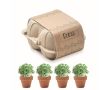 Set de 4 pots avec des graines de cresson couleur beige