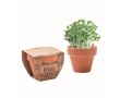 Pot en terre cuite, graines de cresson et pastille de terre couleur bois