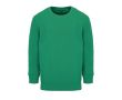 Sweat coton et polyester recyclé pour enfants SOL'S Columbia 280 g/m² couleur vert