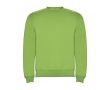 Pull pour enfants en coton et polyester en tricot 280 g/m² Roly couleur vert lime