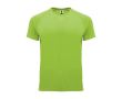 T-shirt technique 100% polyester pour homme 135 g/m² Roly couleur vert lime