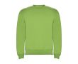 Pull unisexe en coton et polyester en tricot 280 g/m² Roly couleur vert lime