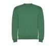 Pull unisexe en coton et polyester en tricot 280 g/m² Roly couleur vert