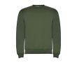 Pull unisexe en coton et polyester en tricot 280 g/m² Roly couleur vert foncé