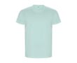 T-shirt 100% coton biologique pour homme 160 g/m² Roly couleur vert menthe