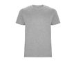 T-shirt 100% coton en tricot pour homme 190 g/m² Roly couleur gris clair chiné
