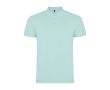 Polo homme en coton tricot piqué à manches courtes 200 g/m² Roly couleur vert menthe