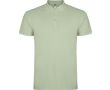 Polo homme en coton tricot piqué à manches courtes 200 g/m² Roly couleur vert doux