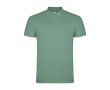 Polo homme en coton tricot piqué à manches courtes 200 g/m² Roly couleur vert olive