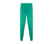 Pantalon sanitaire unisexe à coupe droite 170 g/m² Roly Fiber  couleur vert émeraude