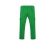 Pantalon de travail en polyester et coton 240 g/m² Roly Daily  couleur vert gazon