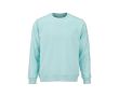 Sweat-shirt unisexe en coton bio, molleton brossé 300 g/m², Waikiki couleur vert clair