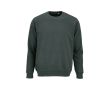 Sweat-shirt unisexe en coton bio, molleton brossé 300 g/m², Waikiki couleur vert foncé