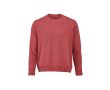 Sweat-shirt unisexe en coton bio avec molleton français 300 g/m² Capri couleur menthe forte