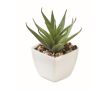 Mini plante artificielle type aloe vera pour bureau couleur blanc