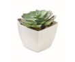 Mini plante artificielle en PP en forme de succulente echeveria couleur blanc