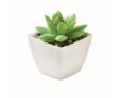 Mini plante artificielle en PP de type succulente décorative couleur blanc