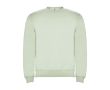Pull avec logo unisexe en coton et polyester en tricot 280 g/m² Roly couleur vert doux