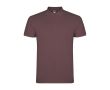 Polo homme en coton en tricot piqué à manches courtes 200 g/m² Roly  couleur taupe