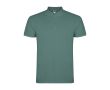 Polo homme en coton en tricot piqué à manches courtes 200 g/m² Roly  couleur vert militaire