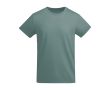 T-shirt en coton biologique en tricot pour homme 175 g/m² Roly couleur bleu gris