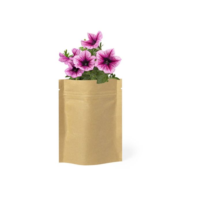 Pot de fleurs original avec graines couleur marron